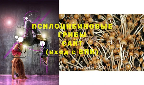 кокаин перу Алзамай