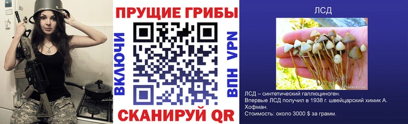 Псилоцибиновые грибы ЛСД  Ярцево 