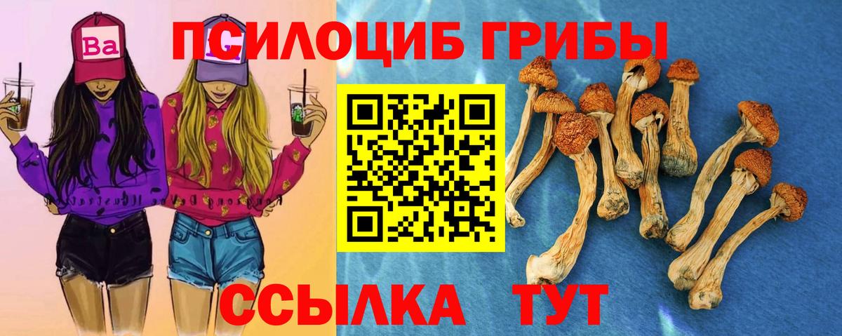 Ярцево  Псилоцибиновые грибы Magic Shrooms  Псилоцибиновые грибы Psilocybine cubensis  Вход с VPN 